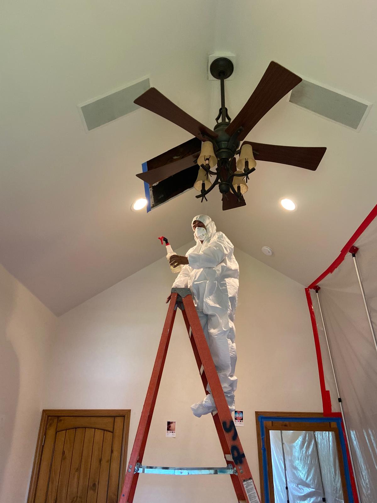 WhatsApp Image 2024-09-30 at 16.59.26_8fd66c5c